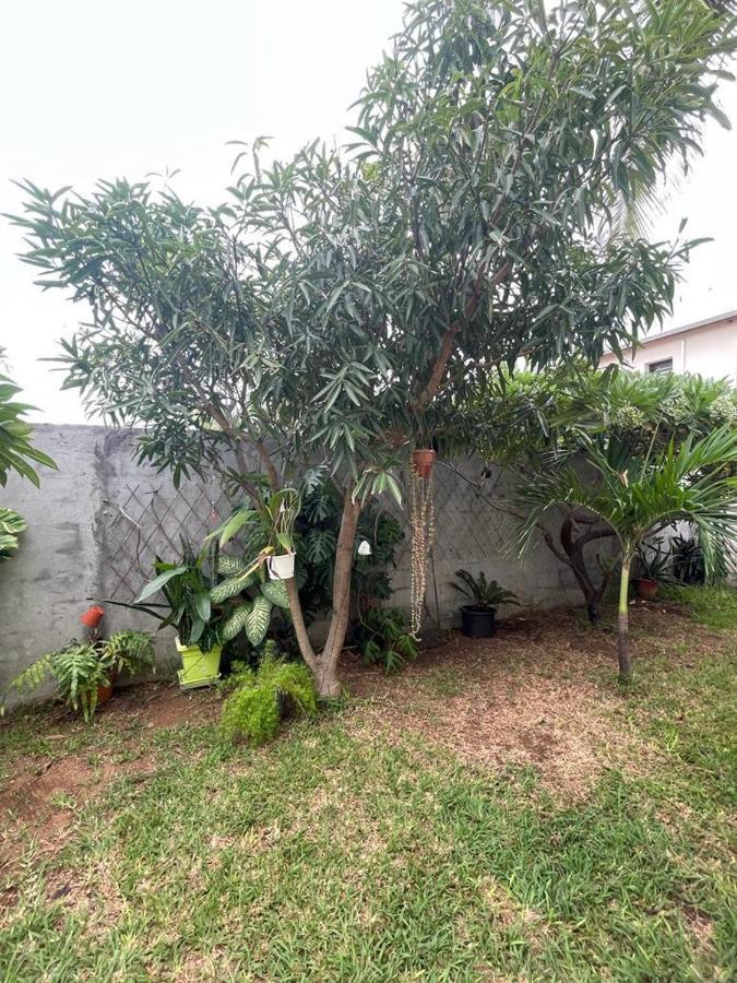 Bungalow Les Coraux La Saline Le Bains Ngoại thất bức ảnh