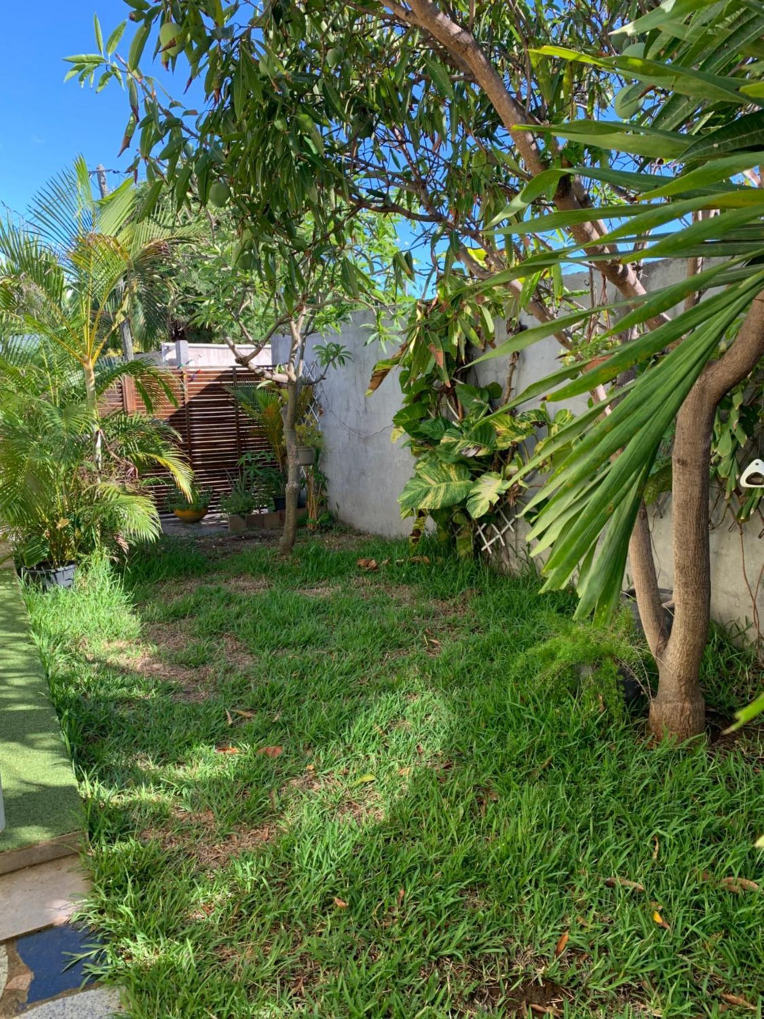 Bungalow Les Coraux La Saline Le Bains Ngoại thất bức ảnh